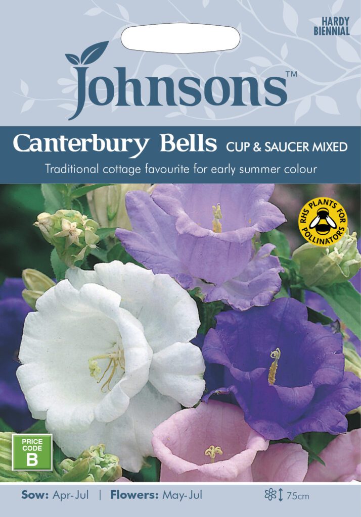 Johnsons Canterbury Bells Cup & Saucer Mixed Seeds 5010931110957