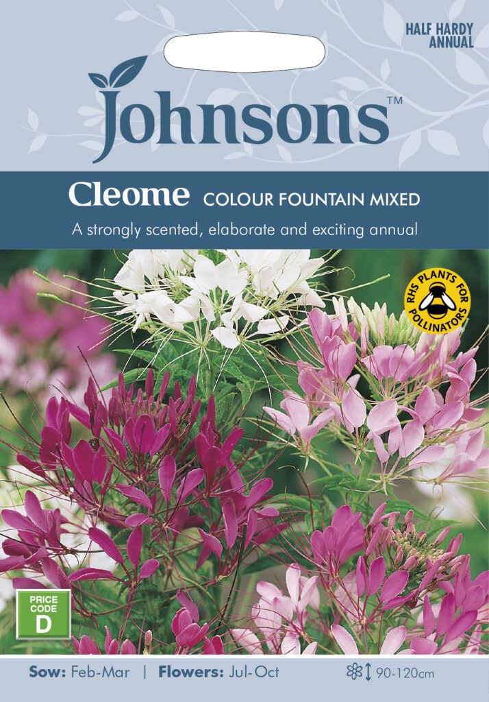 Johnsons Cleome Colour Fountain Mixed Seeds 5010931111282