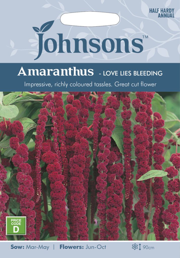 Johnsons Amaranthus Love Lies Bleeding Seeds 5010931112579