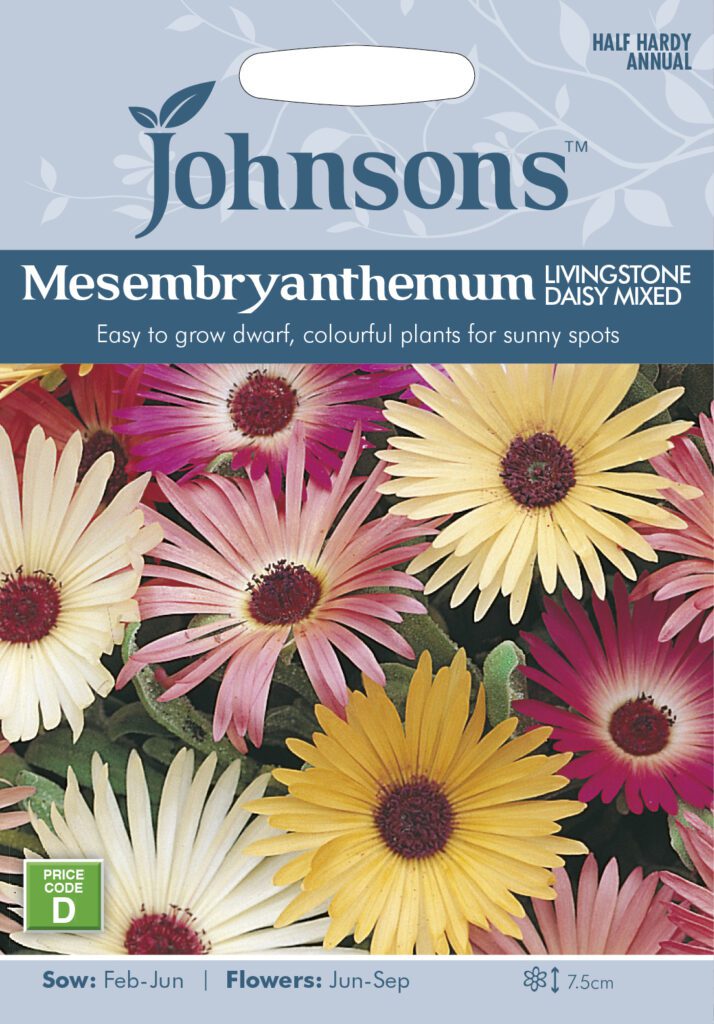 Johnsons Mesembryanthemum Livingstone Daisy Mix Seeds 5010931112951