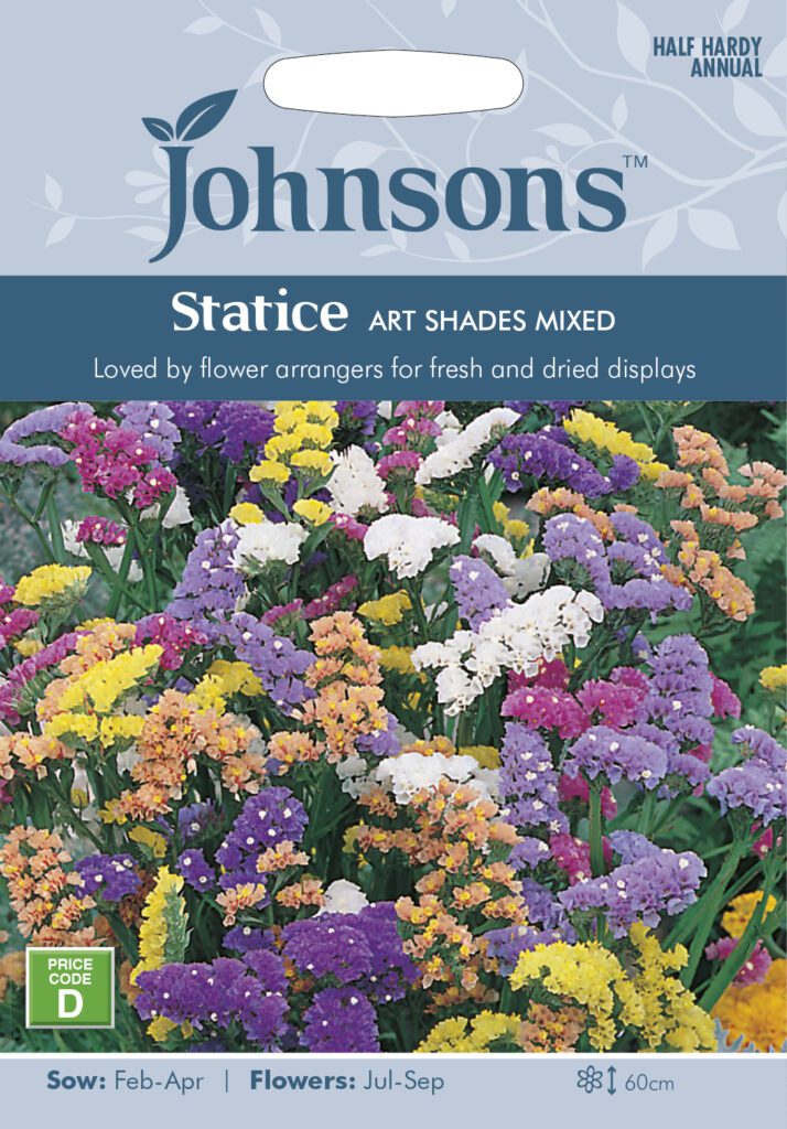 Johnsons Statice Art Shades Mixed Seeds 5010931114153