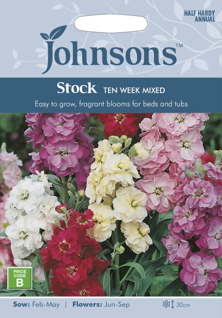 Johnsons Stock Ten Week Mixed Seeds 5010931114252