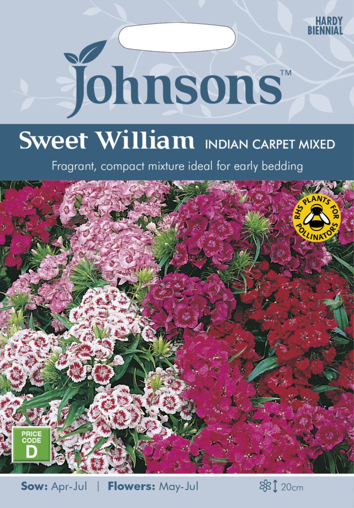 Johnsons Sweet William Indian Carpet Mixed Seeds 5010931114702