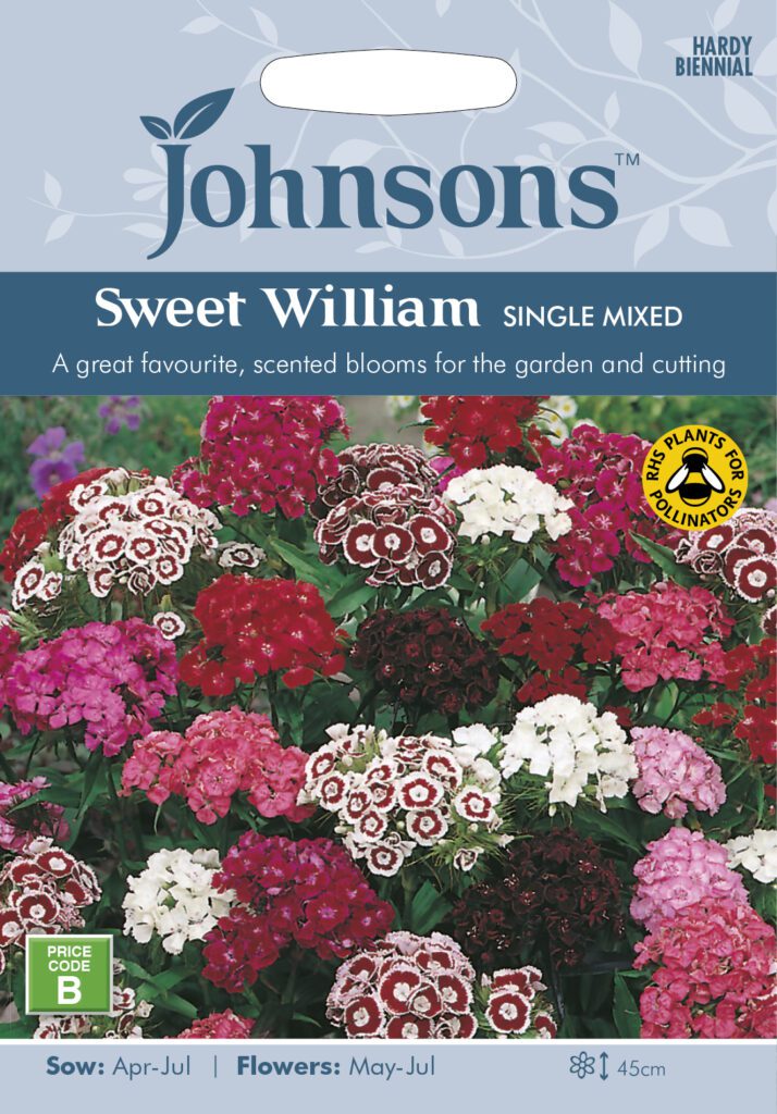 Johnsons Sweet William Single Mixed Seeds 5010931114757