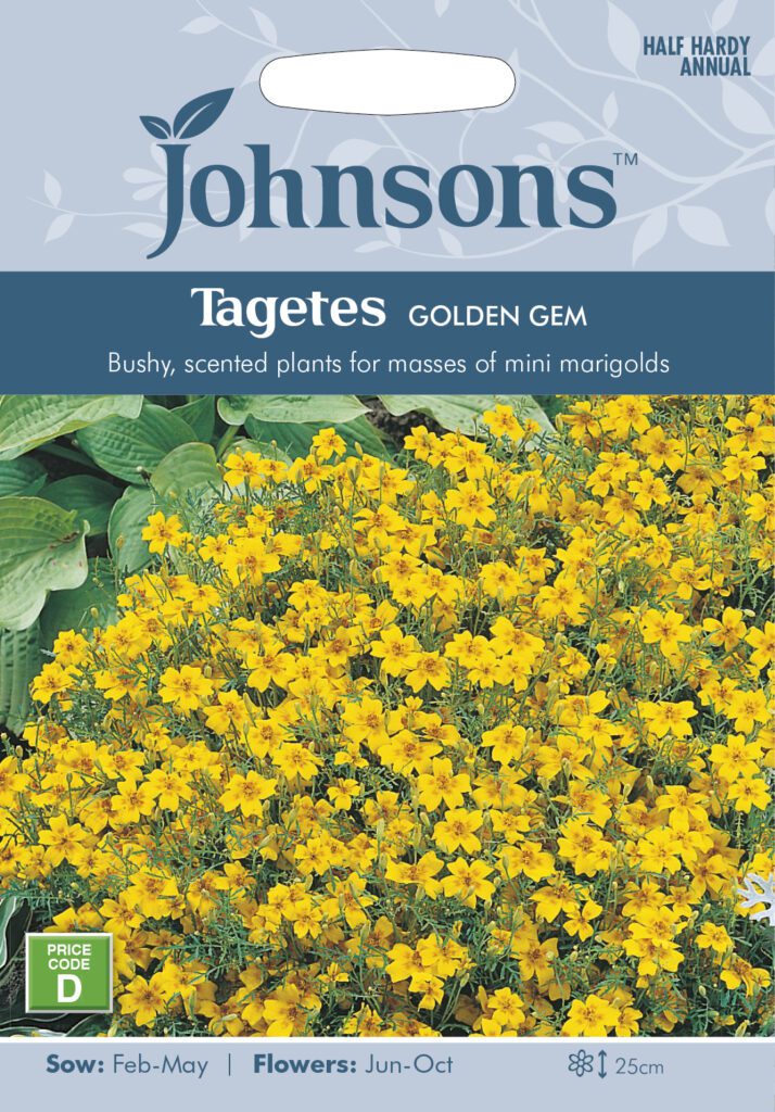 Johnsons Tagetes Golden Gem Seeds 5010931114801