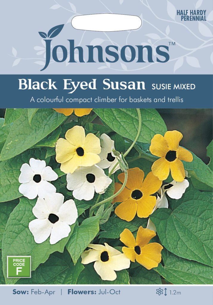 Johnsons Black Eyed Susan Susie Mixed Seeds 5010931114832