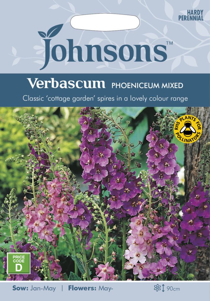 Johnsons Verbascum Phoeniceum Mixed Seeds 5010931118595