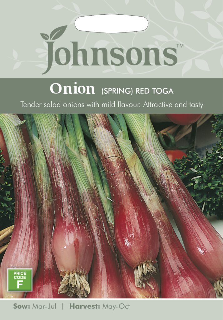 Johnsons Spring Onion Red Toga Seeds 5010931123636