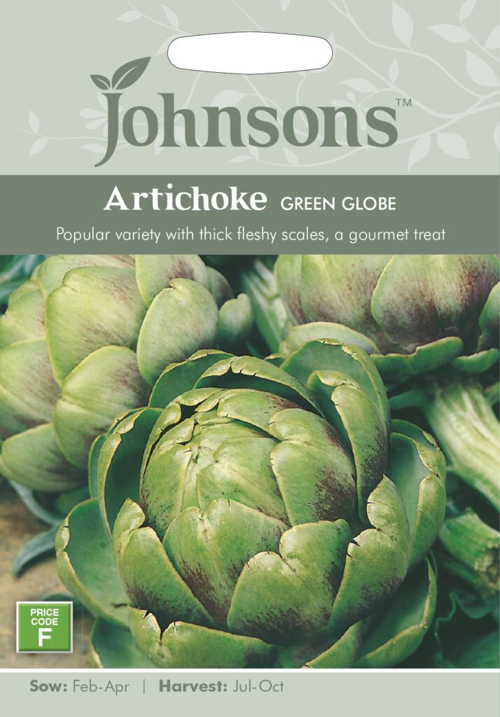 Johnsons Artichoke Green Globe Seeds 5010931140039