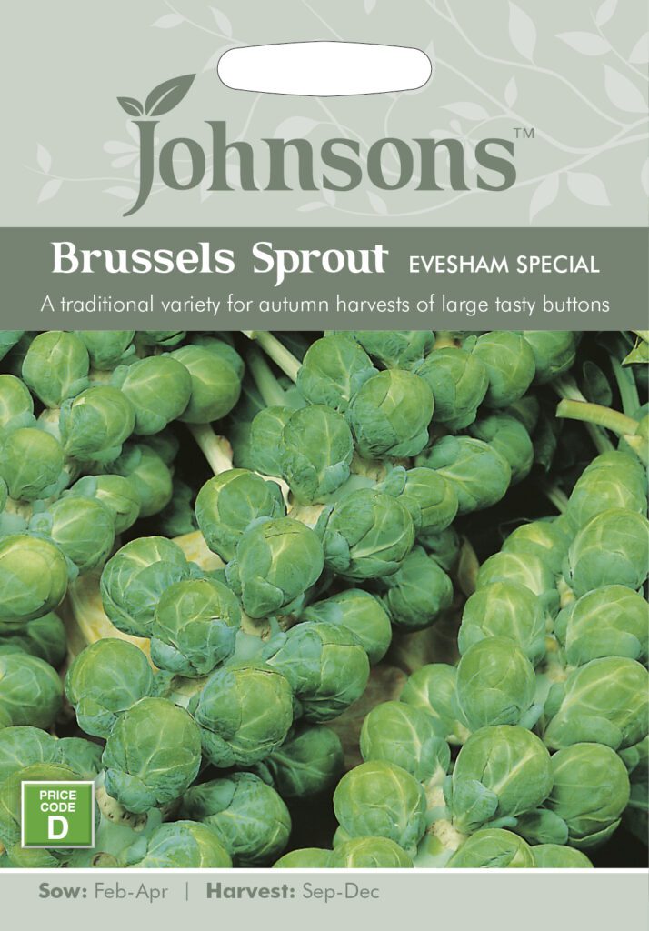 Johnsons Brussels Sprout Evesham Special Seeds 5010931140343