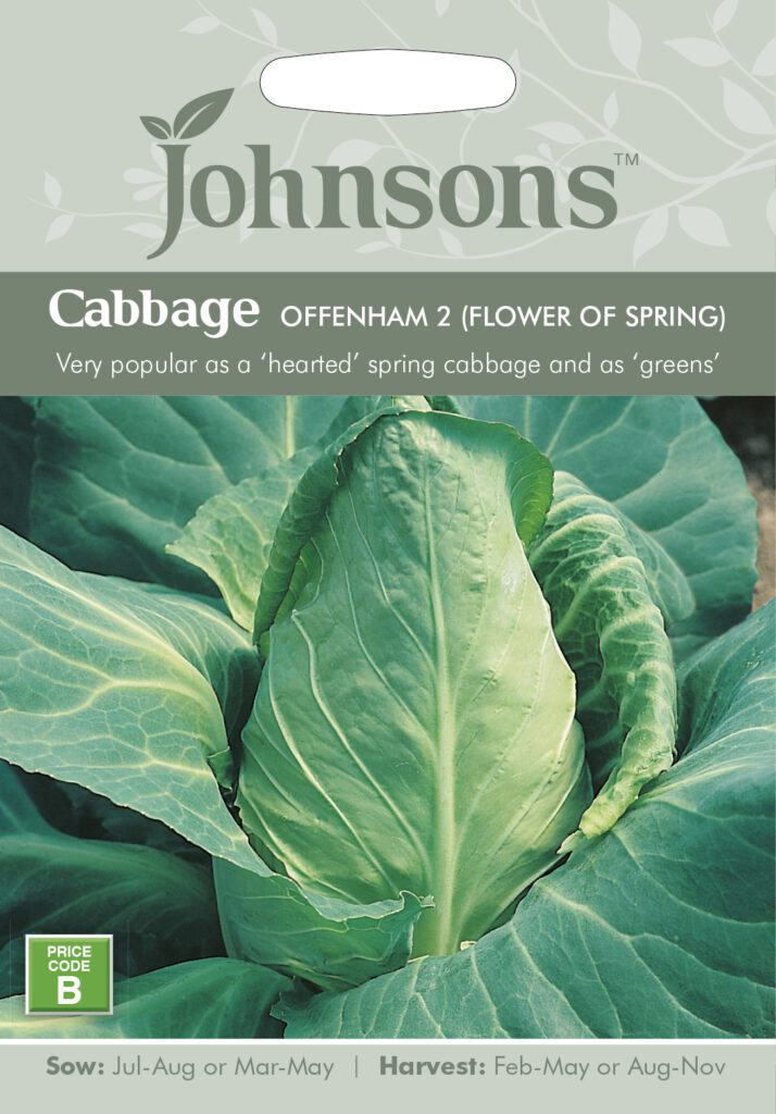 Johnsons Cabbage Offenham (Flower Of Spring) Seeds 5010931140442