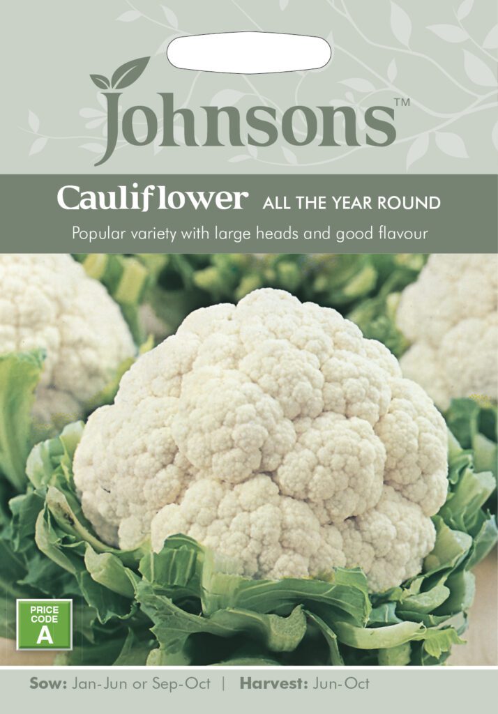 Johnsons Cauliflower All The Year Round Seeds 5010931140992