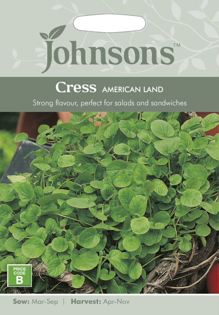 Johnsons Cress American Land Seeds 5010931141289