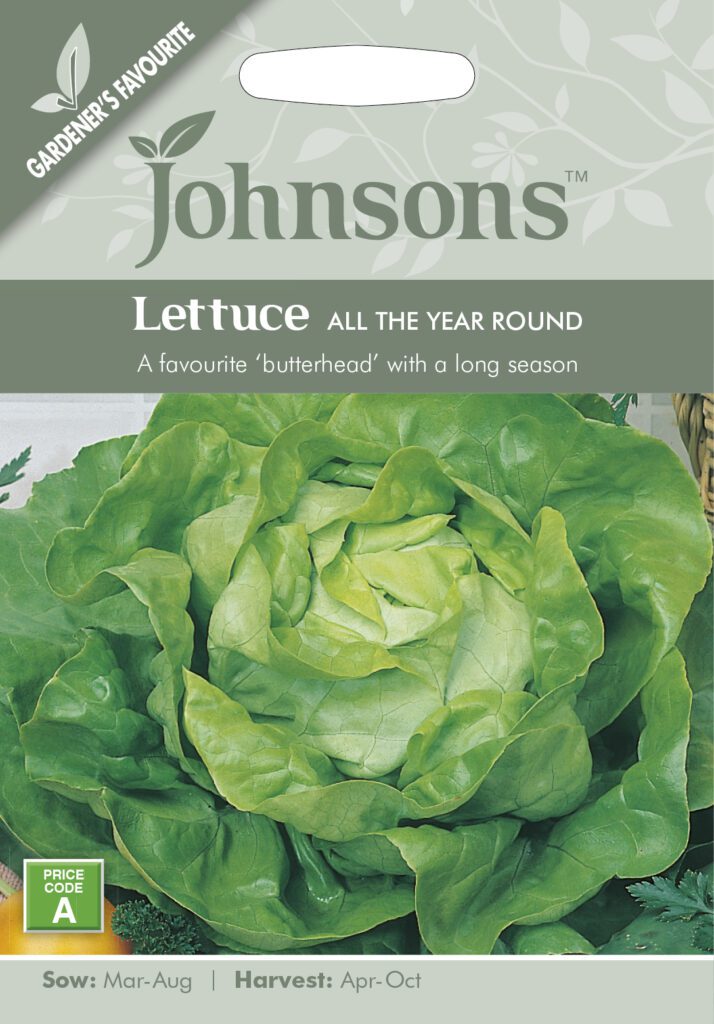 Johnsons Lettuce All The Year Round Seeds 5010931141692