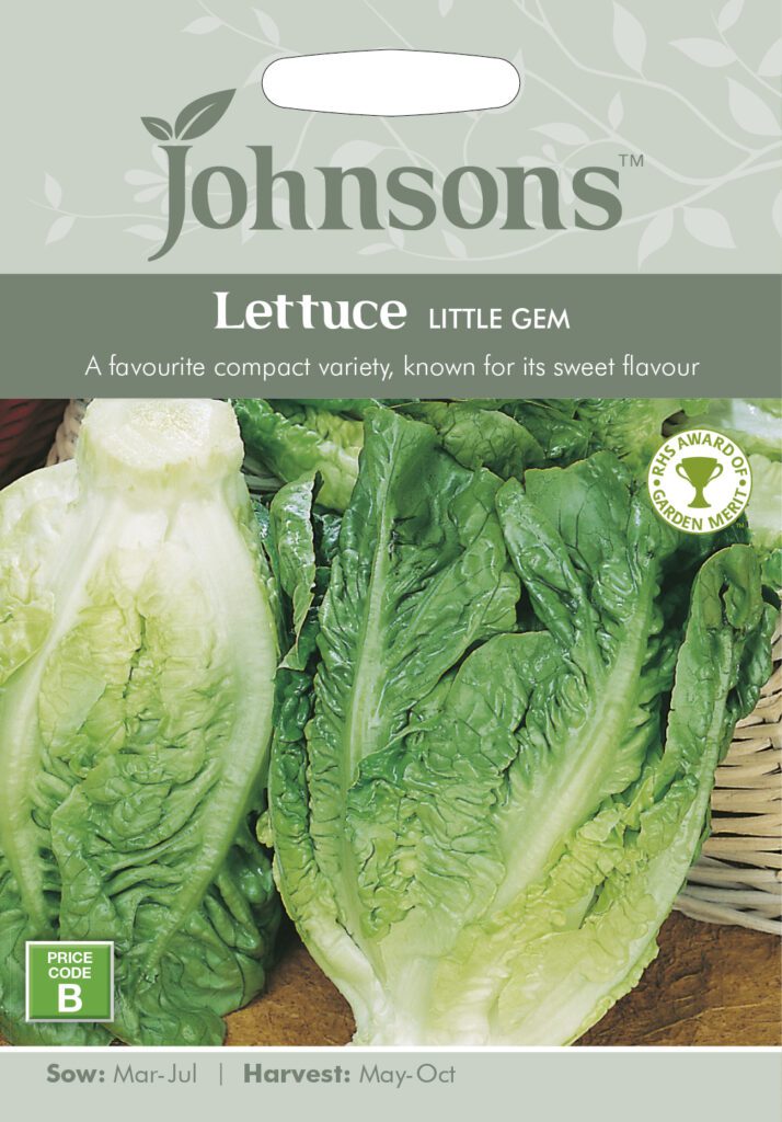 Johnsons Lettuce Little Gem Seeds 5010931141791