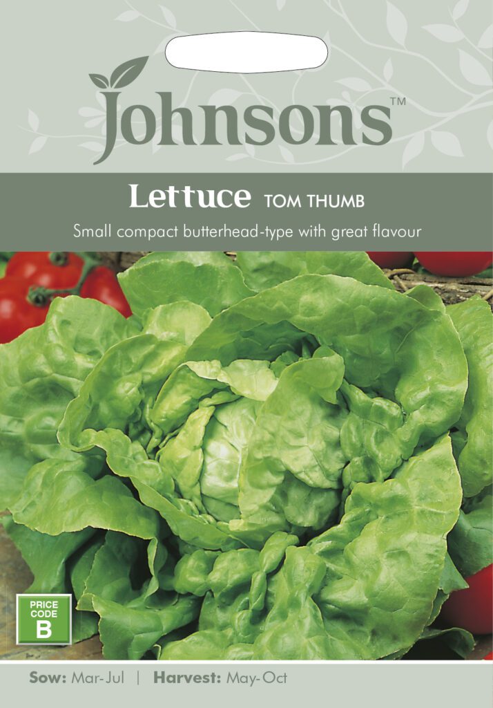 Johnsons Lettuce Tom Thumb Seeds 5010931141890