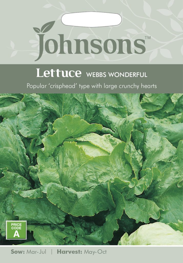 Johnsons Lettuce Webbs Wonderful Seeds 5010931141999