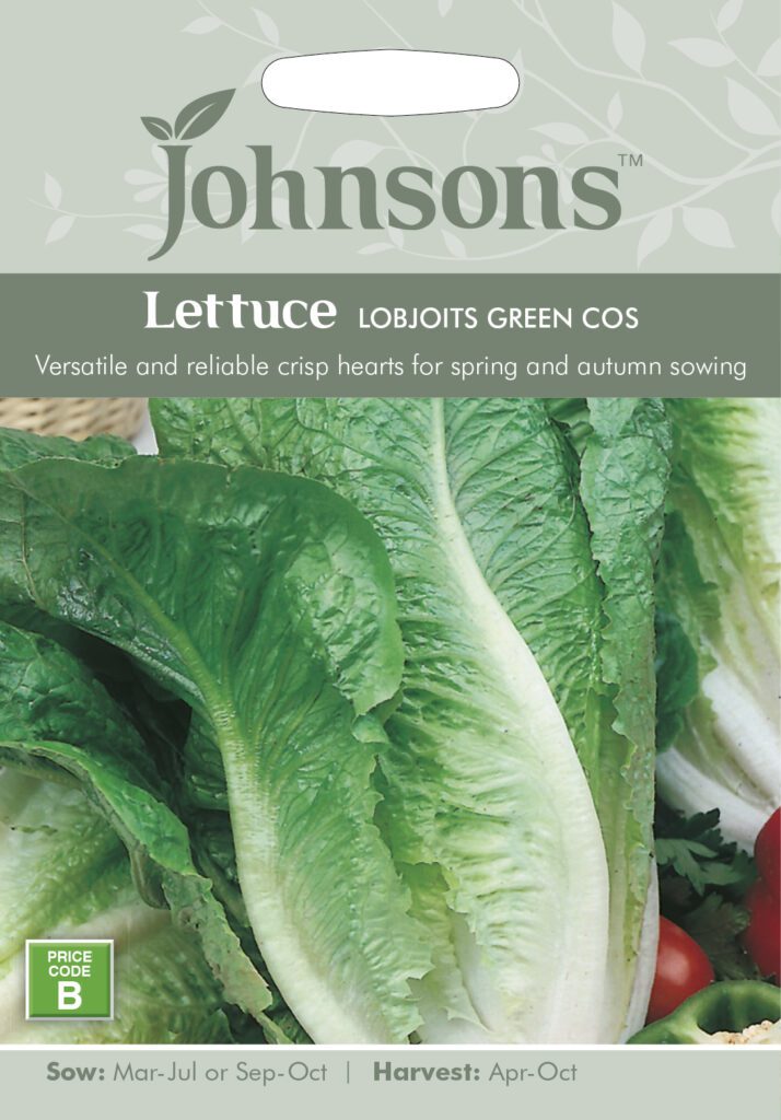 Johnsons Lettuce Lobjoits Green Cos Seeds 5010931142118