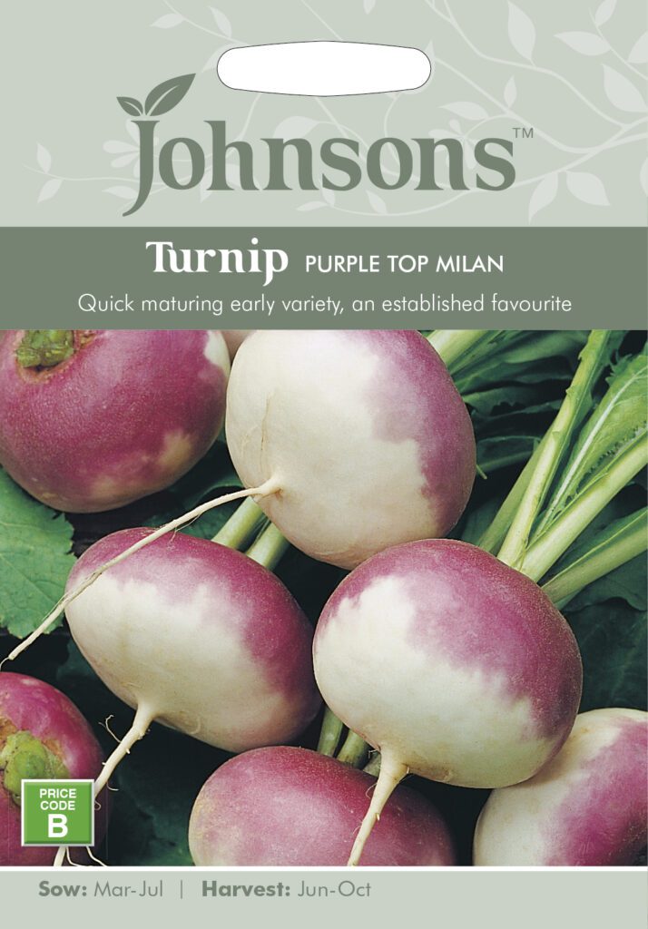 Johnsons Turnip Purple Top Milan Seeds 5010931143399