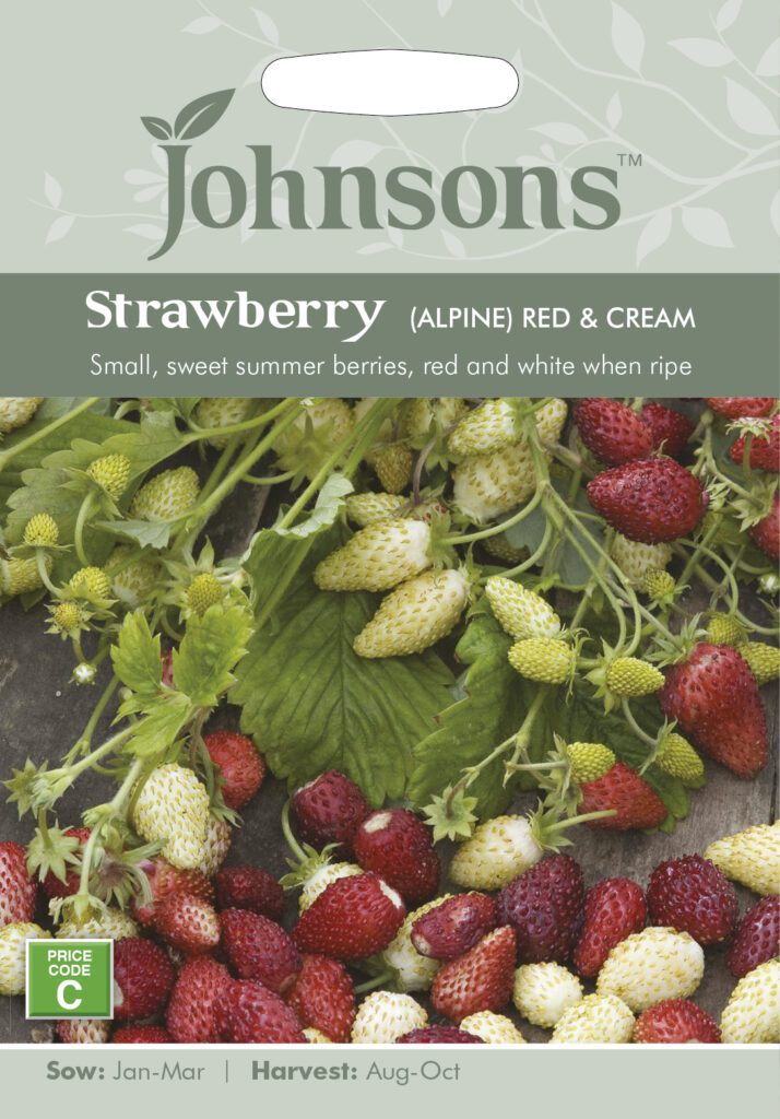 Johnsons Strawberry Red & Cream Seeds 5010931170166