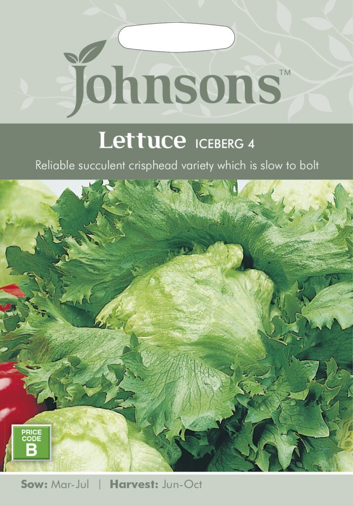 Johnsons Lettuce Iceberg Seeds 5010931170401