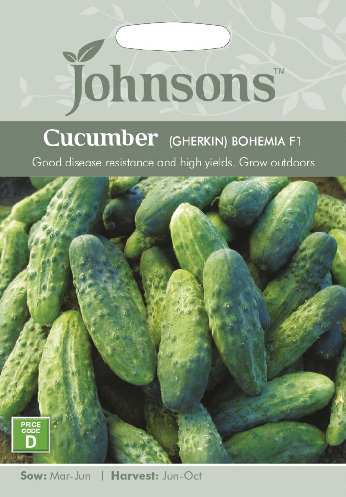 Johnsons Cucumber Bohemia F1 Seeds 5010931170425