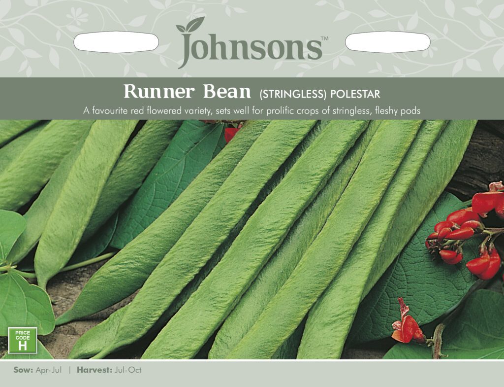 Johnsons Runner Bean Polestar (Stringless) Seeds 5010931190454