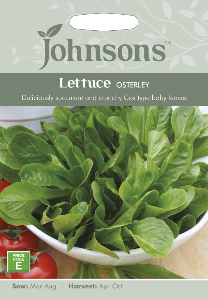 Johnsons Lettuce Osterley Seeds 5010931193028