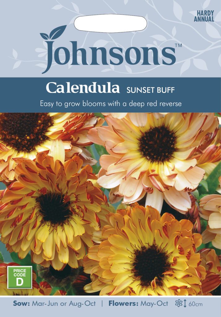 Johnsons Calendula Sunset Buff Seeds 5010931202065