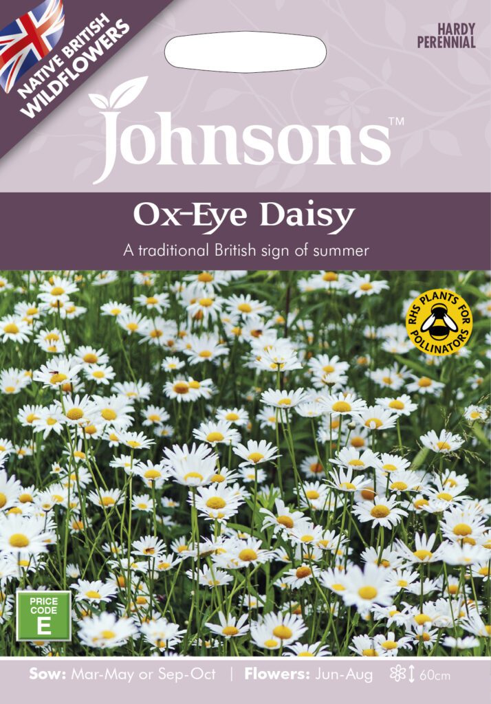 Johnsons Daisy Seeds 5010931202812