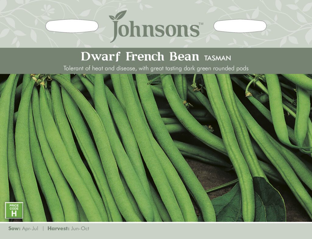 Johnsons Dwarf French Bean Tasman Seeds 5010931203291