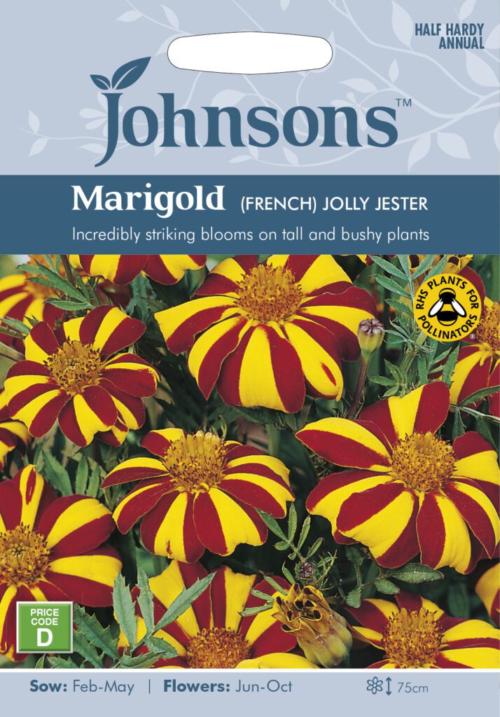 Johnsons Marigold Jolly Jester Seeds 5010931204168