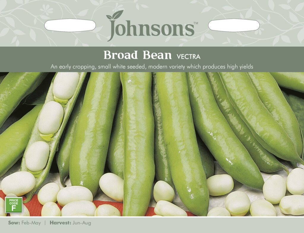 Johnsons Broad Bean Vectra Seeds 5010931204489