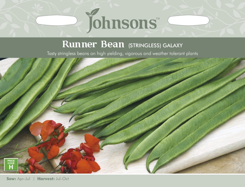 Johnsons Runner Bean Galaxy (Stringless) Seeds 5010931204533