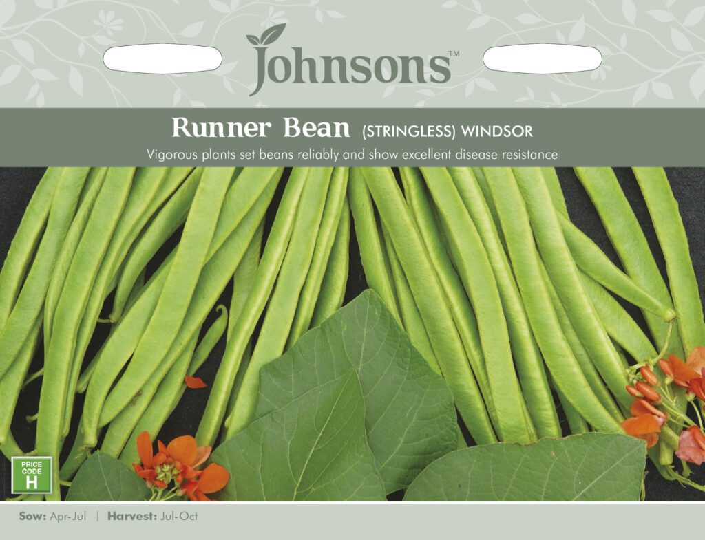 Johnsons Runner Bean Windsor (Stringless) Seeds 5010931215171