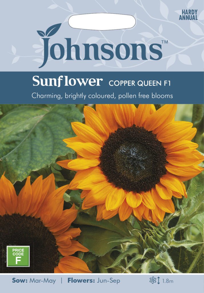 Johnsons Sunflower Copper Queen Seeds 5010931232819