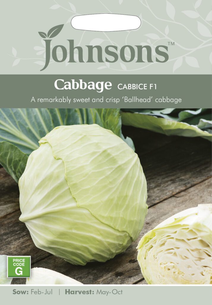 Johnsons Cabbage Cabbice F1 Seeds 5010931232840