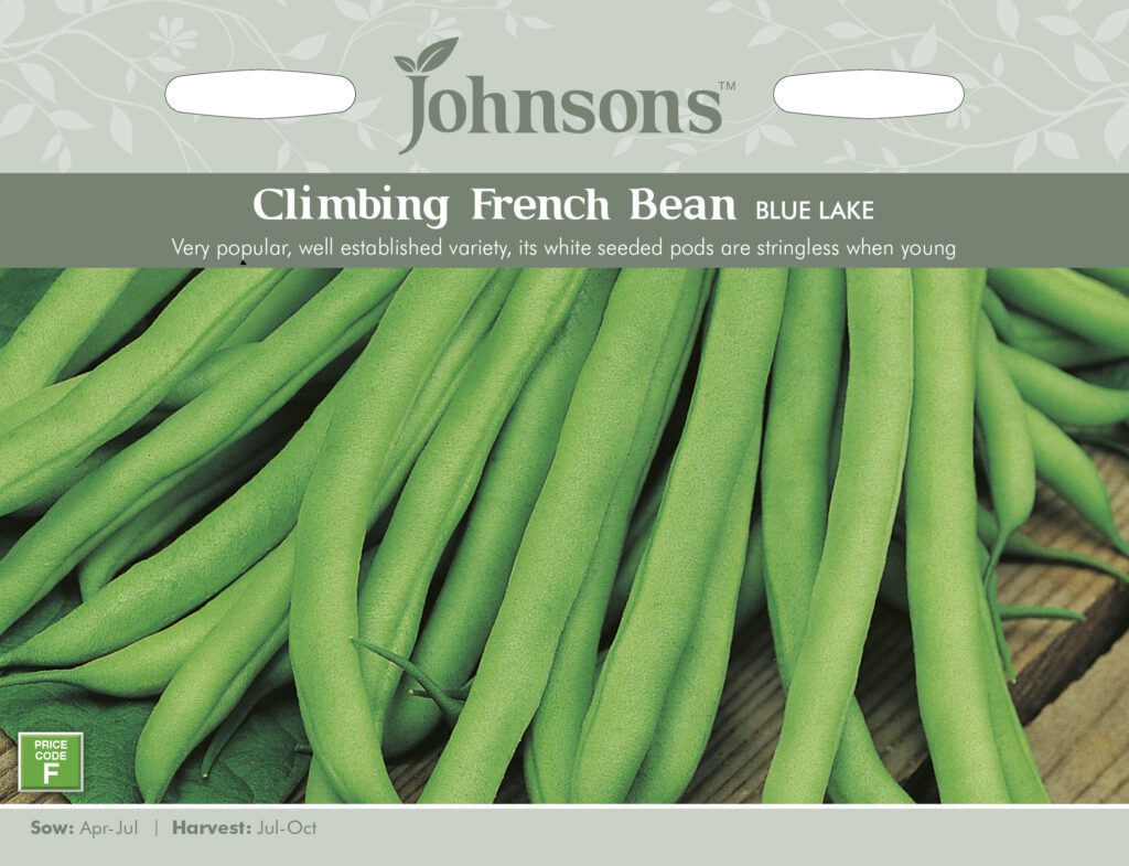 Johnsons Climbing French Bean Blue Lake Seeds 5010931240401