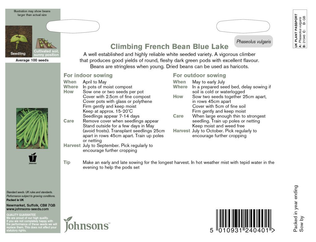 Johnsons Climbing French Bean Blue Lake Seeds 5010931240401