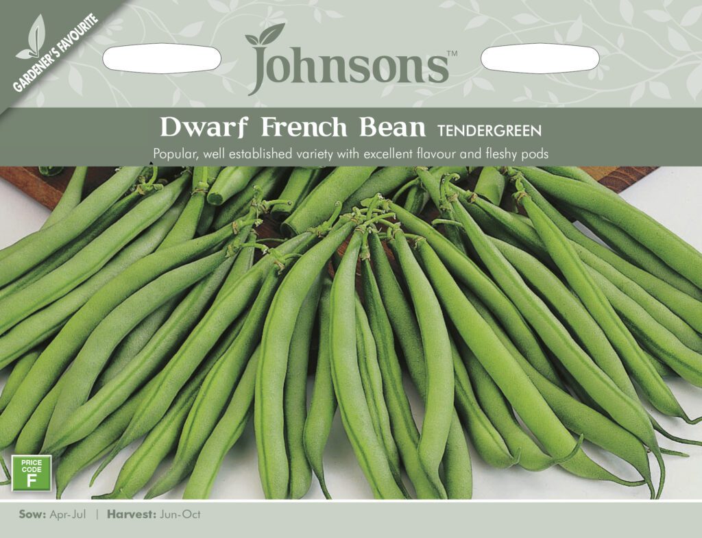 Johnsons Dwarf French Bean Tendergreen Seeds 5010931240524