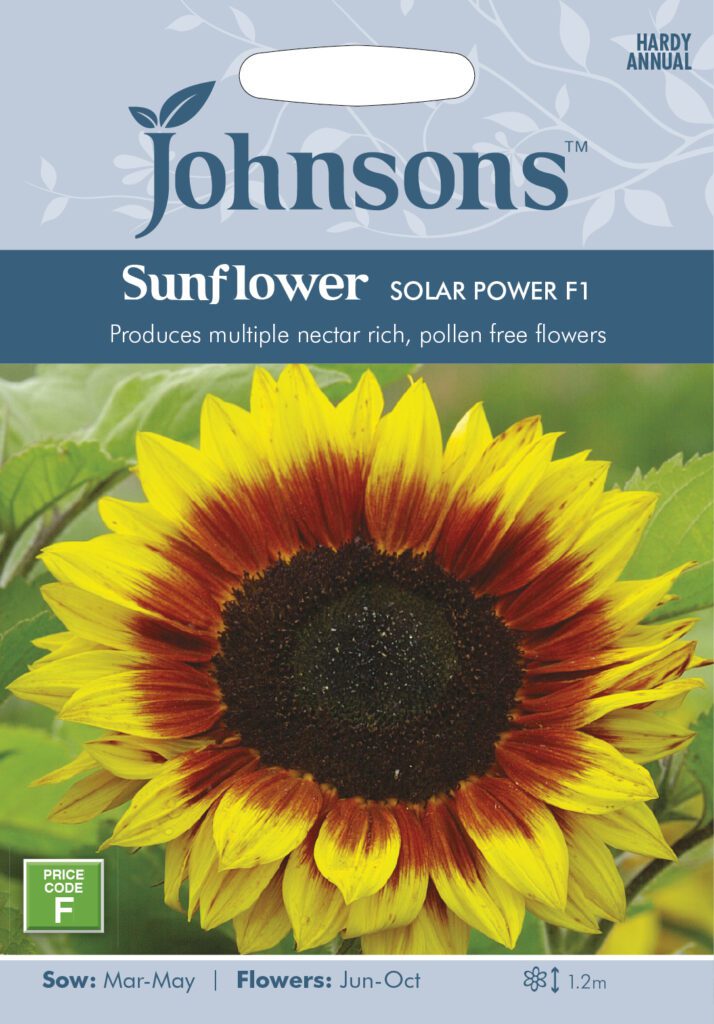 Johnsons Sunflower Solar Power Seeds 5010931246045