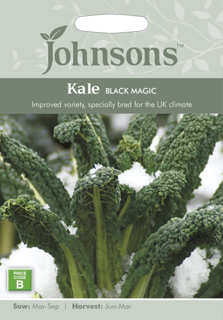 Johnsons Kale Black Magic Seeds 5010931246069