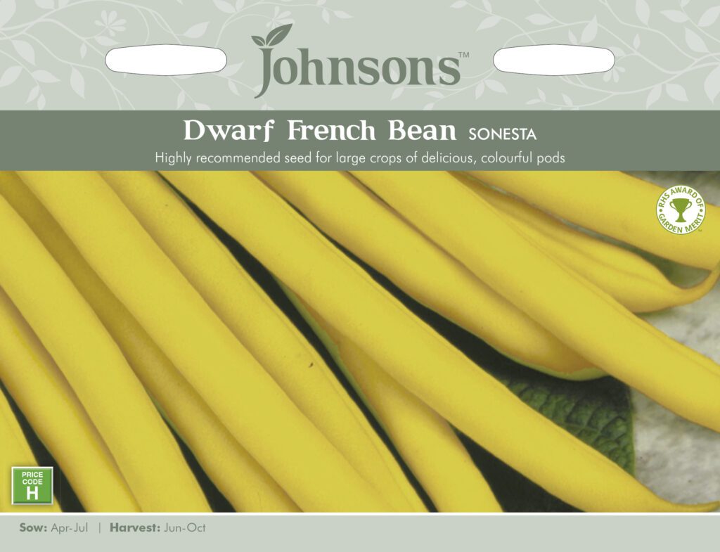 Johnsons Dwarf French Bean Sonesta Seeds 5010931254804