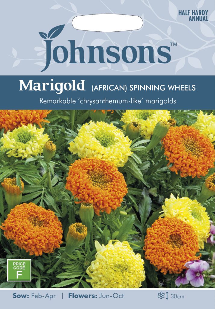 Johnsons Marigold Spinning Wheels Seeds 5010931261895