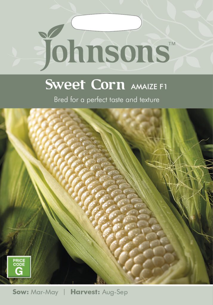 Johnsons Sweet Corn Amaize F1 Seeds 5010931261970