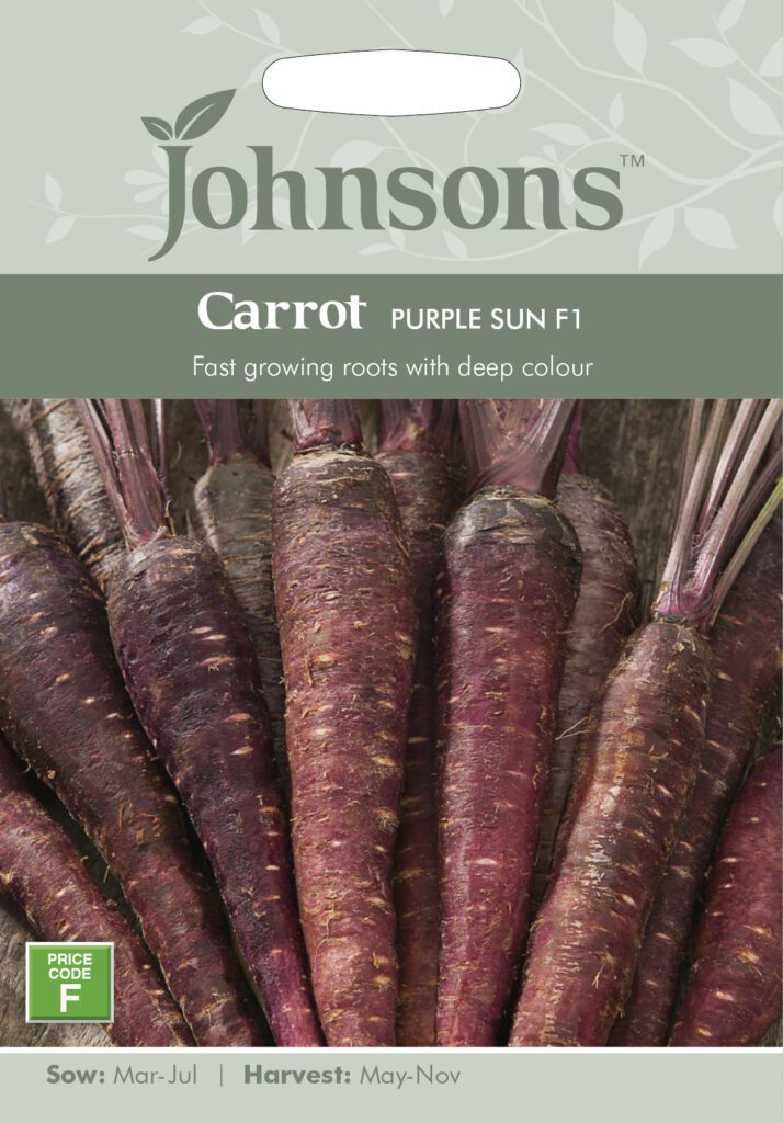 Johnsons Carrot Purple Sun Seeds 5010931273102