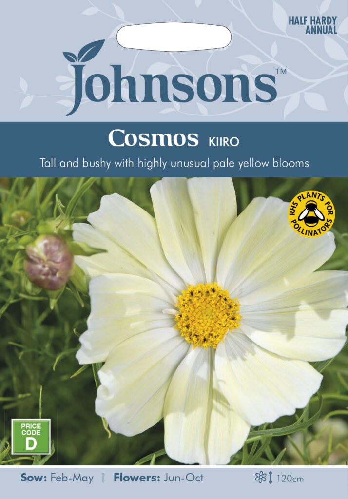 Johnsons Cosmos Kiiro Seeds 5010931290956