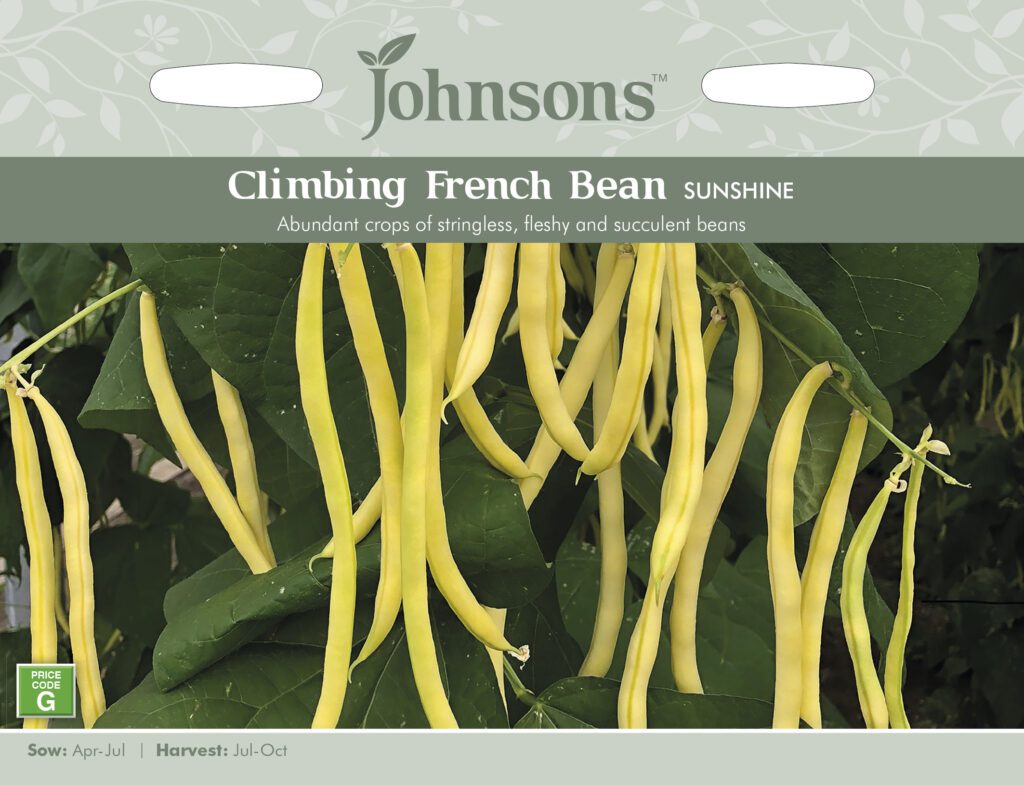 Johnsons Climbing French Bean Sunshine Seeds 5010931291021