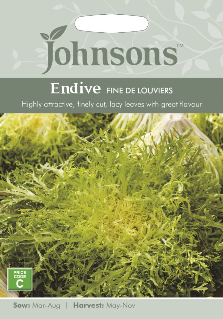 Johnsons Endive Fine De Louviers Seeds 5010931291588