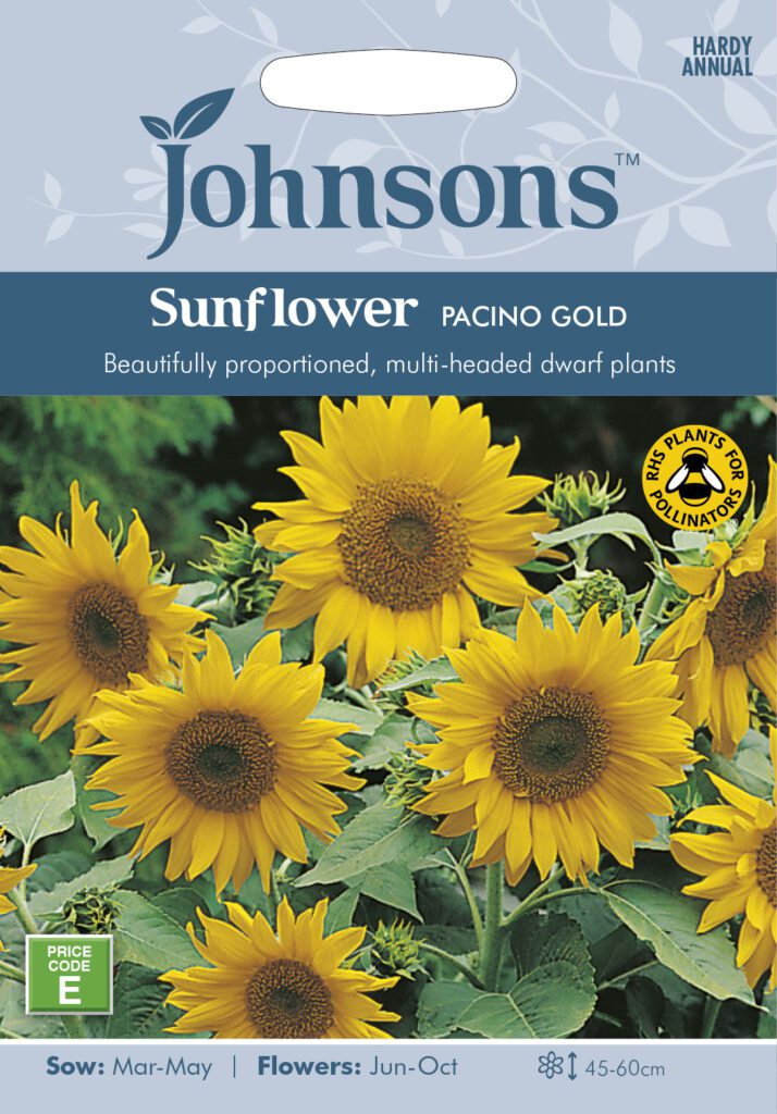 Johnsons Sunflower Pacino Gold Seeds 5010931308934